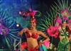 Diner Show Tropicalia - 