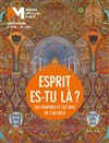 Visite guidée : Exposition "Esprit, es-tu là ? les peintres et les voix de l'au-delà" | par Michel Lhéritier - 