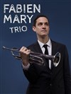 Fabien Mary trio - 