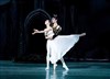 Cendrillon | par le Grand Ballet de Kiev - 