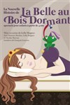 La Nouvelle Histoire de La Belle au Bois Dormant - 