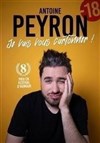 Antoine Peyron dans Je vais vous cartonner - 