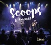 Grand Bal folk avec le trio Scoops - 