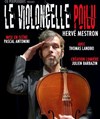 Le violoncelle poilu - 