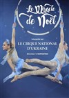 Cirque national d'Ukraine - 