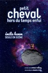 Petit cheval hors du temps enfui - 