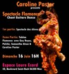 Spectacle Flamenco - 