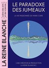 Le Paradoxe des jumeaux - 