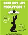 Ceci est un mouton !... Bêêêh oui ! - 