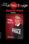 Alexandre Pesle dans Conseils à des jeunes qui veulent rire de tout - 