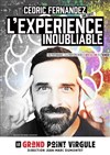 Cédric Fernandez dans L'expérience inoubliable - 