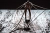 Xenos | par l'Akram Khan Company - 