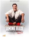 Amine Radi dans L'expert humoriste - 