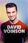 David Voinson - 