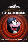 Flip la grenouille - 