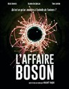 L'Affaire Boson - 