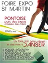 Foire Saint Martin - 