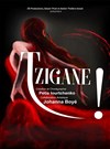 Tzigane ! - 