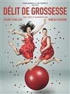 Délit de grossesse - 