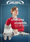 Océanerosemarie dans Chatons Violents - 