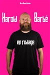 Harold Barbé | En rodage - 