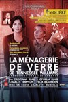 La ménagerie de verre - 