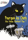 Pourquoi les chats ne nous parlent pas ? - 