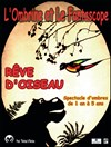 Rêve d'oiseau - 