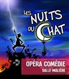 Les nuits du chat - 