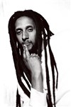 Julian Marley - 