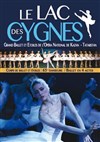 Le Lac des Cygnes - 