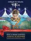 Le Cirque du Soleil dans Totem - 