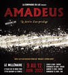 Amadeus, le destin d'un prodige - 