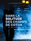 Dans la solitude des champs de coton - 