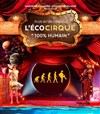 L'Ecocirque André-Joseph Bouglione | Montpellier - 