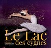 Le lac des cygnes | Grenoble - 