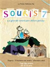 Souris 7 - 