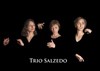 Terres Nouvelles-Trio Salzedo - 