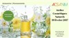 Atelier cosmétiques naturels - 