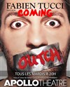 Fabien Tucci dans Coming outch - 