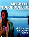 Meshell Ndegeocello - 