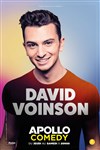 David Voinson - 