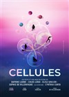 Cellules - 