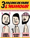 3 Façons de faire l'humour - 