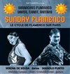 Sunday Flamenco - 