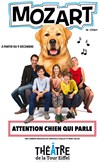 Mozart le chien - 