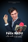 Félix Radu dans Les mots s'improsent - 