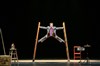 Circus Incognitus - 