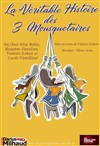 La Véritable Histoire des Trois Mousquetaires - 