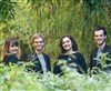 Concert : Quatuor Métamorphoses - 